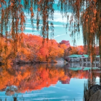 restaurant on a lake in autumn