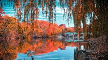 restaurant on a lake in autumn - lake, restaurant, rocks, trees, shore, autumn