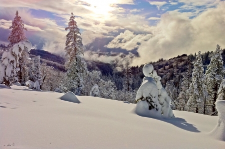 Sierra Nevada in Winter - clouds, landscape, snow, firs, mountains