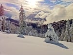 Sierra Nevada in Winter