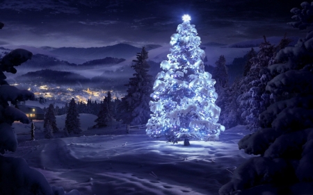 Christmas Tree - winter, tree, christmas, snow