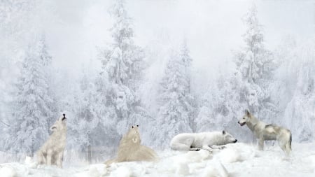 Winter Wolf Tribute - wolves, white wolves, trees, forest, snow, winter, howling