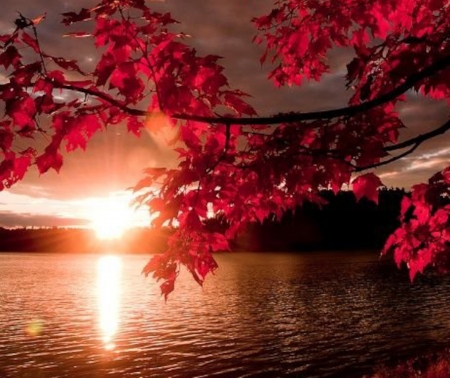 Autumn Sunset - nature, autumn, lake, trees, sunset, mountains