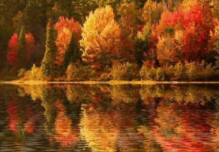 Lake Reflection - nature, autumn, lake, trees, reflection, forest