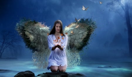 Dreams - woman, dreams, wings, butterflies