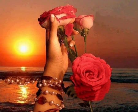 We Want Peace.....!!! - beach, reflection, roses, collage, hand, flowers, sunset