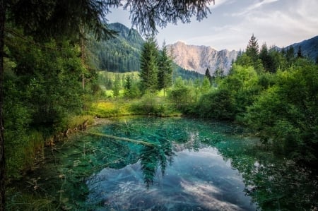 Amazing Nature -Austria- - nature, lake, tree, amazing