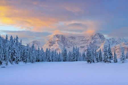 Winter - snow, winter, nature, sky