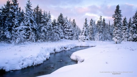 Winter River - trees, river, snow, water, winter, frozen