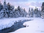 Winter River