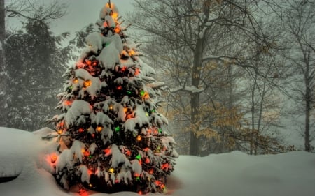 Snowy Tree - winter, tree, christmas, snow