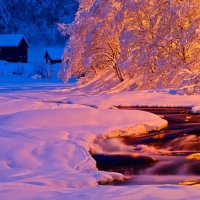 Winter Light
