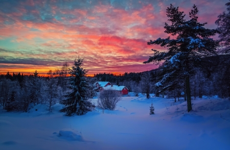 Winter Sunset - hill, winter, trees, sunset, snow