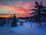 Winter Sunset