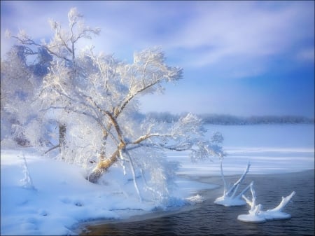 Frozen lake - ice, sky, lake, winter, cold, frost, snow, beautiful, frozen