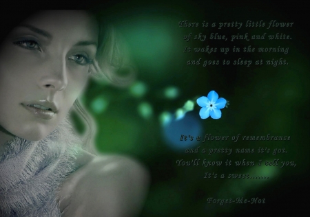 There is a pretty little flower.... - me, words, flowr, forget, not