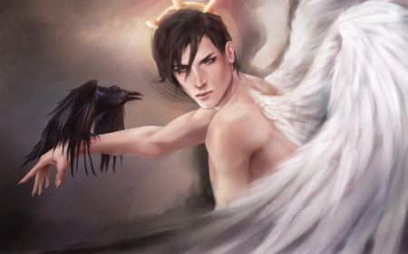 Angel and raven - feather, black, bird, raven, art, wings, white, fantasy, guy, angel, boy, man