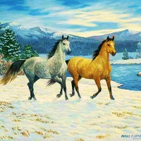 Beach Horses