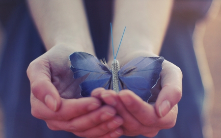 For You! - feather, hand, butterfly, blue