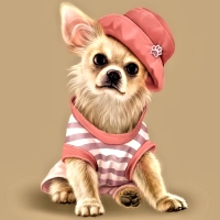 Cool Puppy