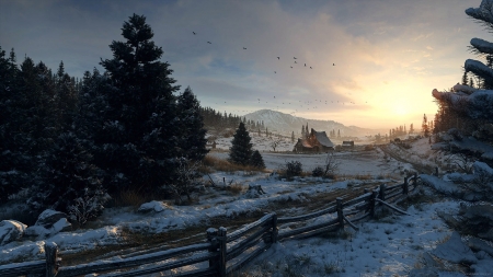 'Beautiful winter night..... - fence, sky, trees, snow, night, winter