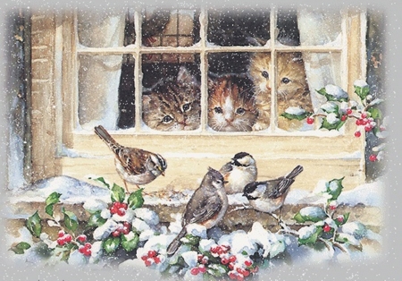 Bird Watching - birds, winter, window, snow, three, berries, kittens, red, bird Watching