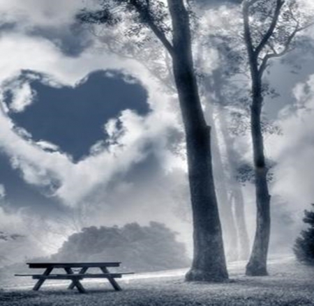 Heart Clouds - hearts, bush, clouds, tree, bench