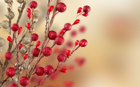 Happy Holidays! - red, berry, craciun, holidays, branch, christmas