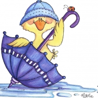 cute duckling