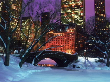 Central Park in Winter - winter, snow, city, NY, architecture, ice, white, red, skyscrapers, seasons, houses, bridge, New York, Central Park