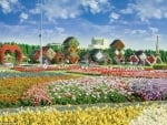 DUBAI FLOWER GARDEN