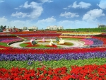 DUBAI FLOWER GARDEN