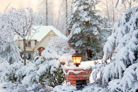 Winter house - trees, winter, christmas, home, covered, lantern, beautiful, frost, snow, house