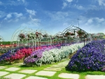 DUBAI FLOWER GARDEN