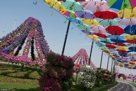 DUBAI FLOWER GARDEN - flowers, garden, nature, pretty