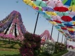 DUBAI FLOWER GARDEN