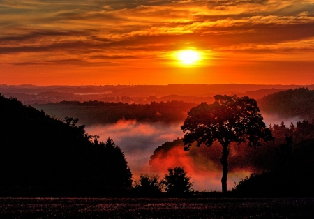 Beautiful Sunrise - nature, autumn, trees, clouds, sunrise, mist