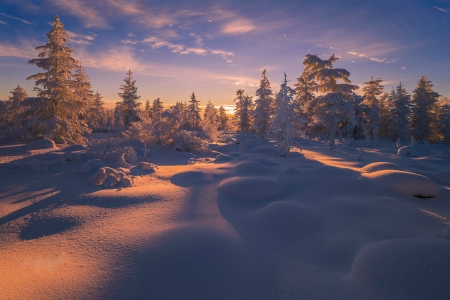 Winter - snow, winter, nature, sky