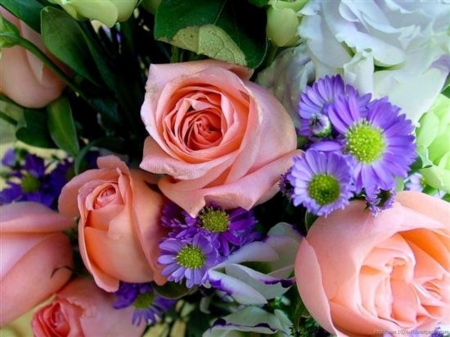 Lovely Bouquet - white, nature, pink, blue, flowers, bouquet