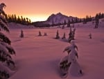 Winter Mountains