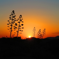 Dawn over Mojacar