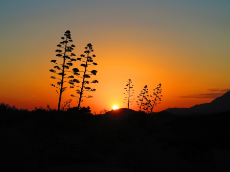 Dawn over Mojacar - clera sky, mojacar, dawn, southern spain