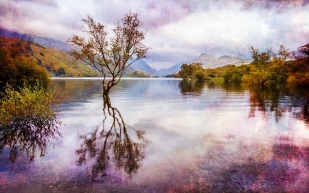 Lake Reflection - lake, reflection, clouds, trees, nature