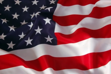 American Flag - celebration, american flags, flags, america