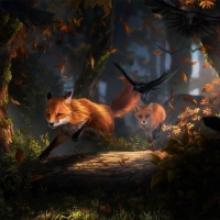 'A pair of foxes'....