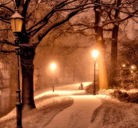 Winter Night