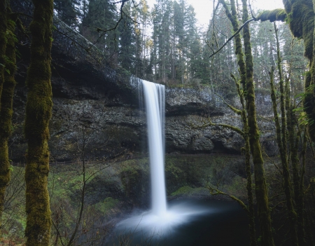 Silver Creek Falls - nature, fun, forest, cool, waterfall