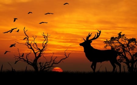 Deer - animal, bird, silhouette, orange, tree, sunset, deer, nature