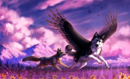 Magenta fields - blue, wolf, feather, pink, lhuin, fantasy, purple, wings, puppy, magenta fields