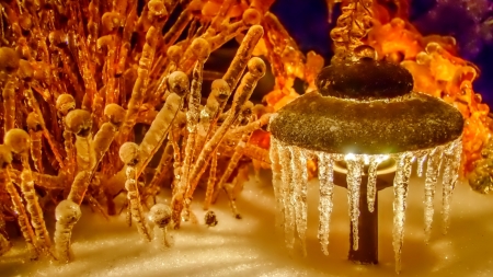 Winter Lantern - lights, winter, ice, snow